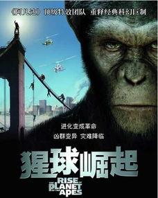 猩球崛起 在线观看,重燃原始野性，在线见证猿类崛起之路  第1张